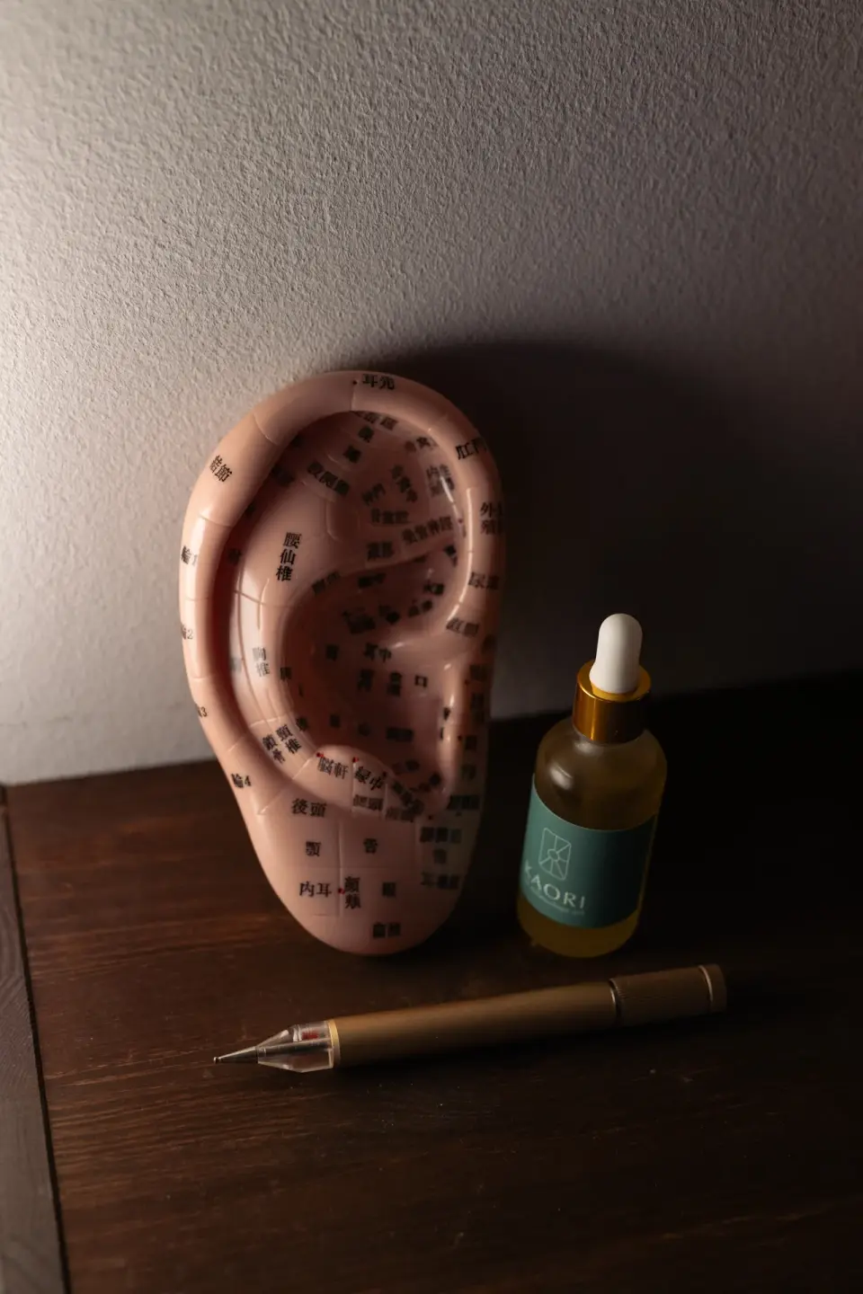 Ear model, oil and reflexology instruments at manualtherapies, Frederiksberg.